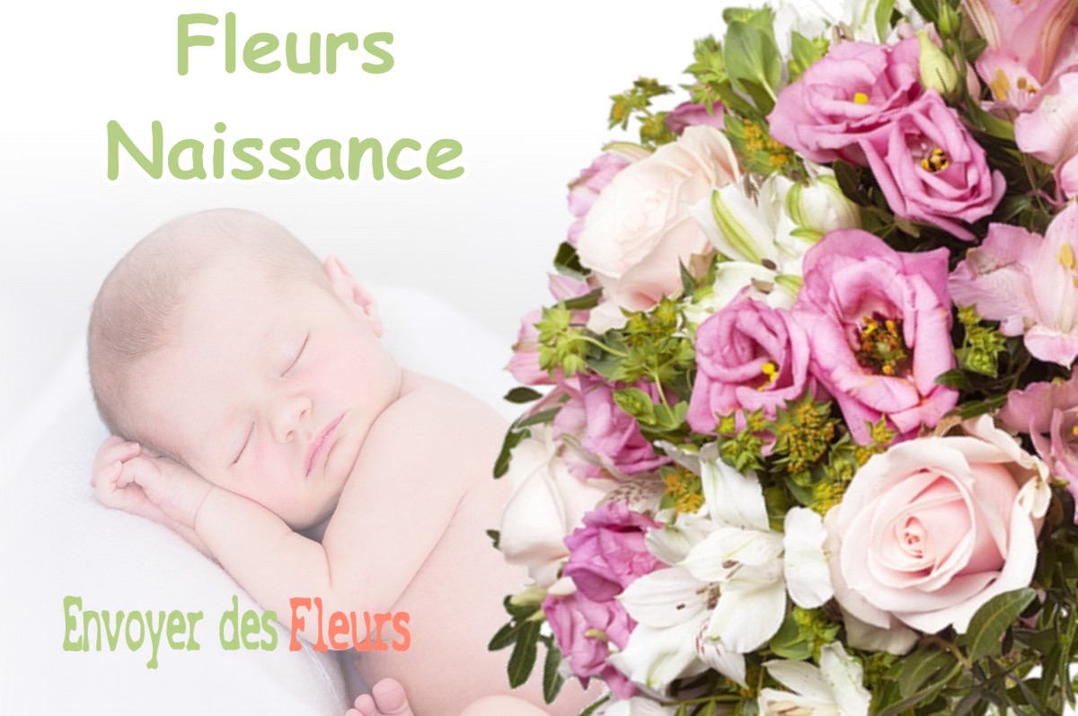 lIVRAISON FLEURS NAISSANCE à SEPX